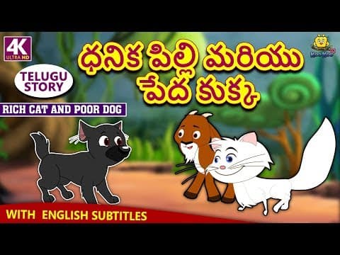 ధనిక పిల్లి మరియు పేద కుక్క - stories