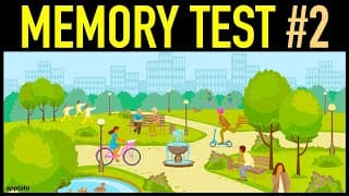 VISUAL MEMORY TEST