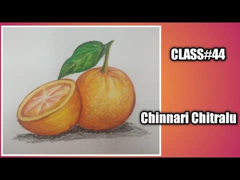 Step by step drawing|| Fruits|| How to draw an orange.