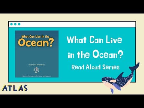 Marine Biology for Kids!- "What can live in the Ocean?
