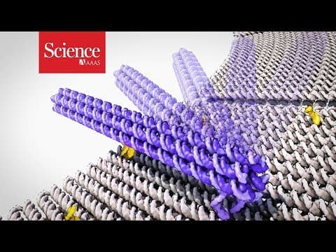 Watch a robot made of DNA swing its arm