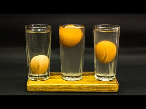 Science Fair Ideas With Water