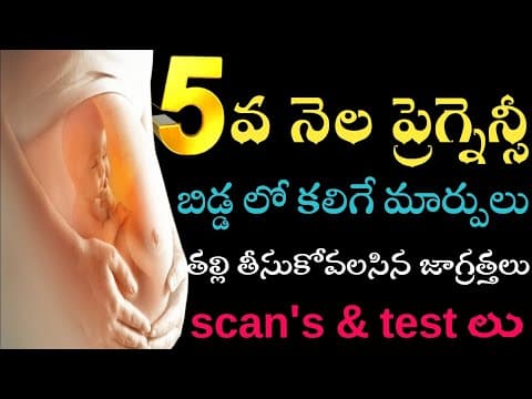 5th month of pregnancy in telugu|5th month of pregnancy baby movement in telugu|5th monthdevelopment