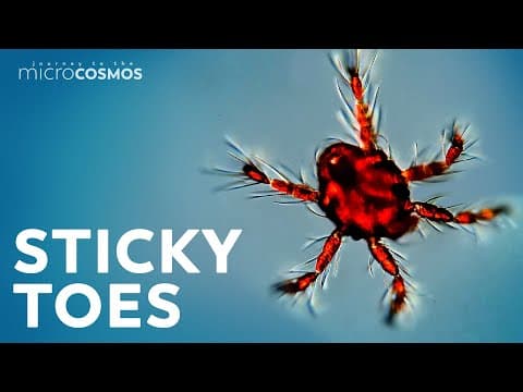 Four fox pups in an underground magic tree den