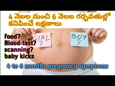 4 to 6 months pregnancy symptoms|precautions/4 నుండి 6 నెలల గర్భవతుల symptoms