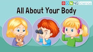 All About Your Body