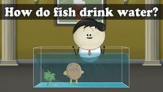 Osmosis - How do fish drink water aumsum kids science education children