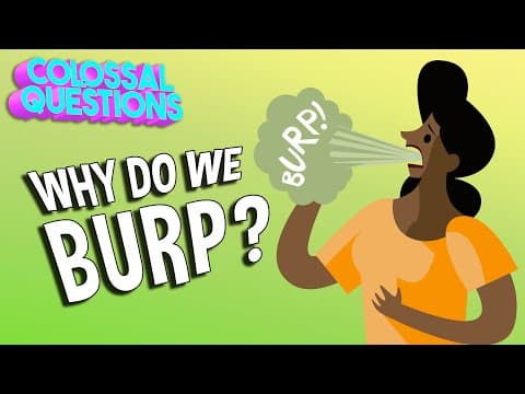 Why Do We Burp? | COLOSSAL QUESTIONS