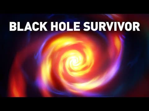 The First Known Survivor of a Rendez-vous with a Black Hole