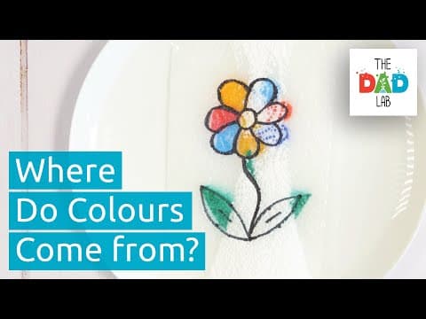 Colourful Magic Trick with Paper Towels | Kids Science