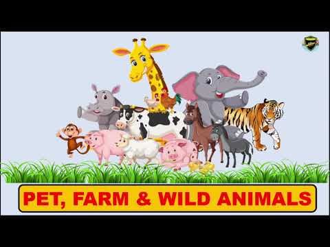 Pet Farm and Wild Animals - Types of Animals for Kids