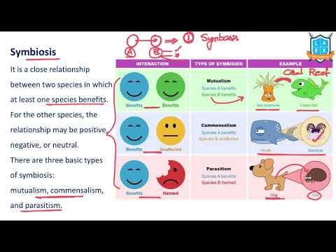 What is Symbiotic Relationship ? || Symbiotic Relationship అంటే ఏమిటి?