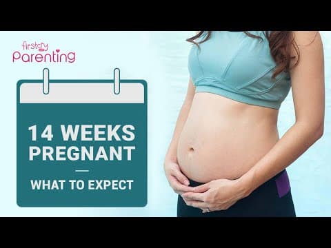 14 weeks pregnant-what to expect