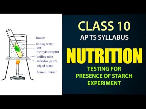 Nutrition | Presence of Starch Experiment