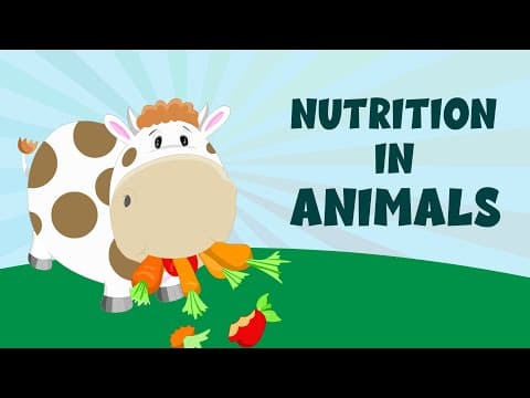 Nutrition in Animals| Types of Animal Nutrition| Modes & Process of Nutrition| Learn about Nutrition