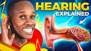 The Hearing Song How Hearing Works  its CRAZY