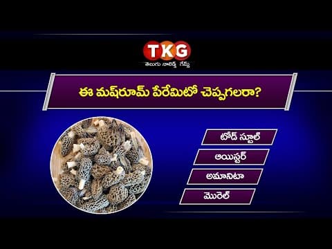 #FOOD PUZZLE in telugu 3  | GK Questions in telugu | UNknown food facts 