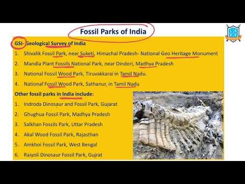 What is a Fossil Park ? || Fossil Parks of India అంటే ఏమిటి?