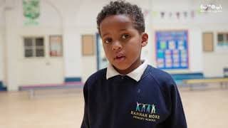 Are seagulls a problem