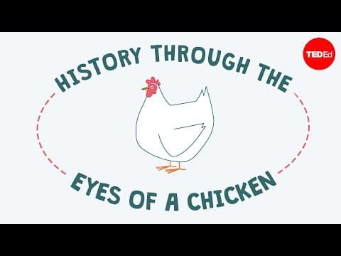 History through the eyes of a chicken - Chris A. Kniesly - YouTube