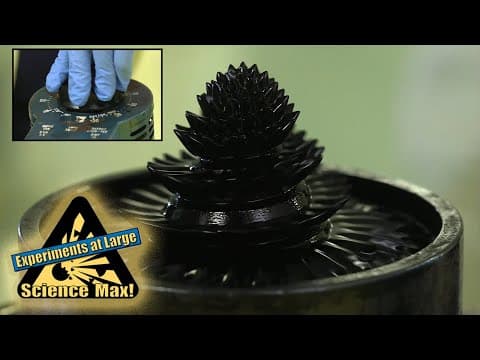 MAGNETS | Experiments