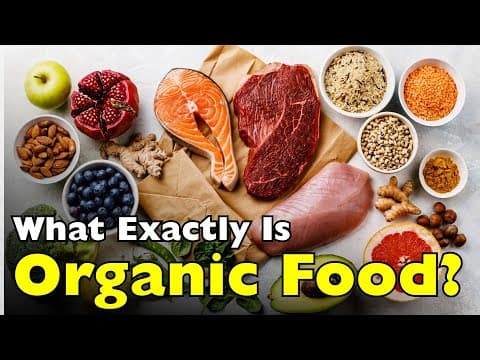 What Exactly Is Organic Food—and Is It Really Better?