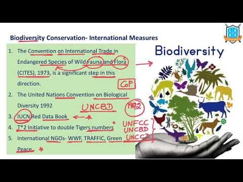 What are International Biodiversity Conservation Measures ?