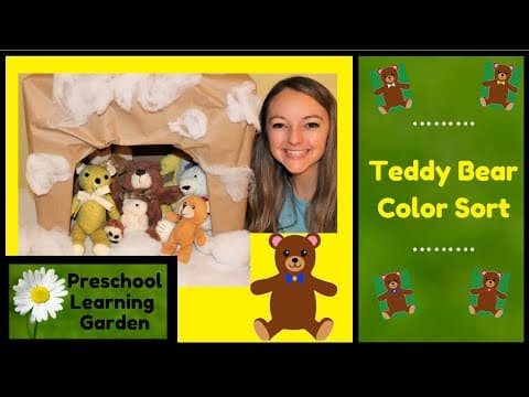 Teddy bear color sort