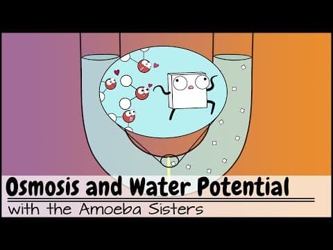 Osmosis and Water Potential (Updated)