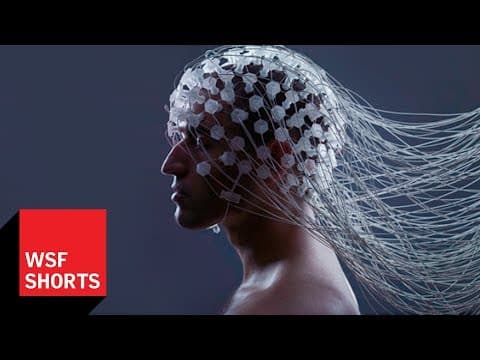 Is a Brain Upload Possible? Max Tegmark on Whole Brain Emulation