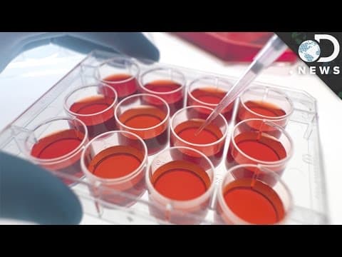 Why Are Stem Cells So Important