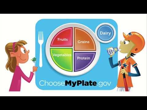 Food groups and myplate