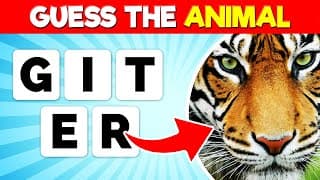 Guess the Animal by its Scrambled Name | Scrambled Letters Animal Name