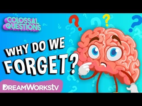 Why Do We Forget Things? | COLOSSAL QUESTIONS
