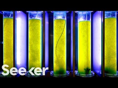 Why Don’t We Have Functional Biofuel Yet?