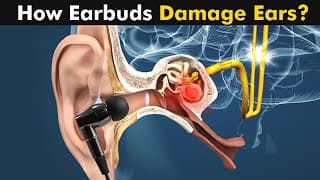 how earbuds damage our ears? | Are Earphones harmful