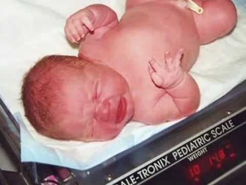 Fetal Development Week 41 (Pregnancy Health Guru)