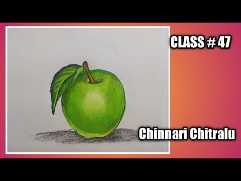 Step by step drawing||Fruits||How to draw a green apple.