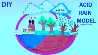 acid rain model for school science fair / exhibition