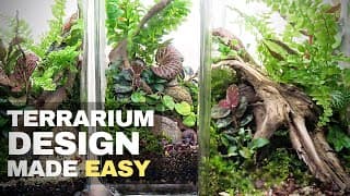 Terrarium design made easy