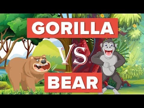 Gorilla vs Bear - Who Would Win? - Animal Comparison