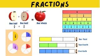 Introduction to Fractions|What are fractions|Fractions explained for Kids
