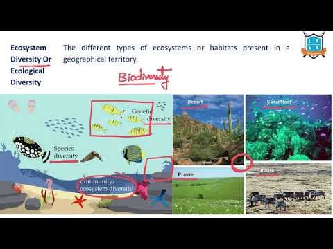 What is Ecosystem Diversity ? || Ecosystem Diversity అంటే ఏమిటి?