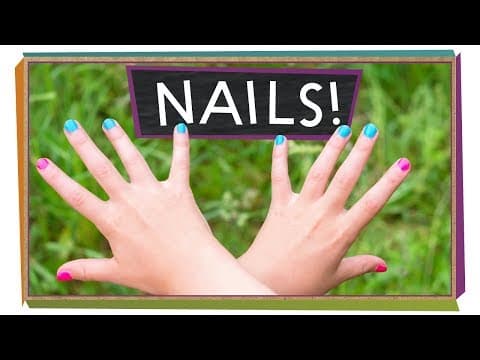 Nails: Your Human Claws