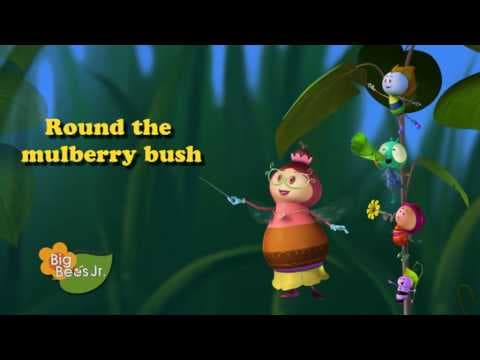Round the Mulberry Bush Rhyme Learn with Fun | Big Bees Junior | Big Animation x Reliance