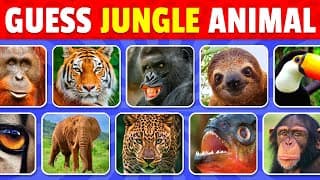 Guess 50 Jungle Animals in 3 Seconds