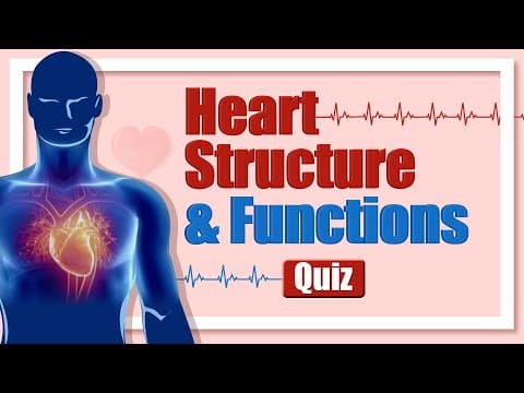 Heart Structure & Functions Quiz | Human Circulatory System Quiz - Heart Chambers, Valves, & Vessels