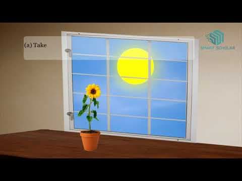 Living things respond to stimulus- Science Animation