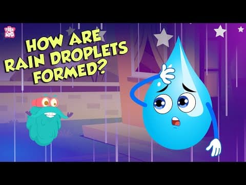 How are rain droplets formed? - water cycle - the dr binocs show