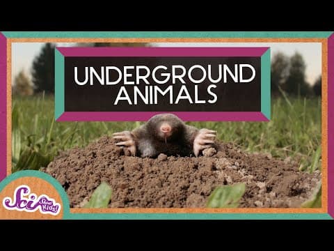 What's It Like to Live Underground?